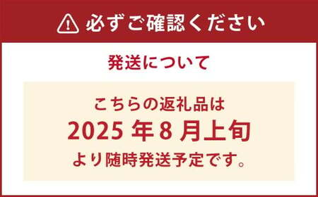 久住高原童心回帰農場の自然栽培フローズンブルーベリー1kg 冷凍 ブルーベリー