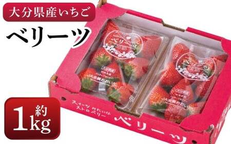 化粧箱入り ベリーツ 約1kg【2026年2月下旬-3月下旬発送】