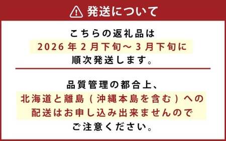 化粧箱入り ベリーツ 約1kg【2026年2月下旬-3月下旬発送】