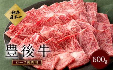 大分県竹田産 おおいた和牛 ロース 焼肉用 【500g】