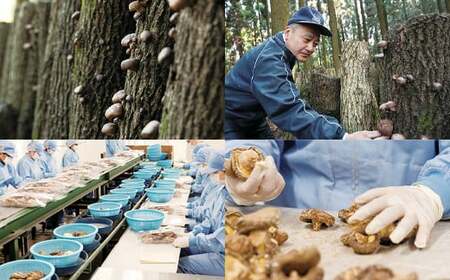 大分県産 吟選最上級花どんこ160g (乾しいたけ)