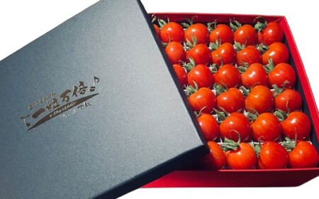 音楽を聴いて育った 「ミニトマト 2段 黒 ／ 赤 BOX」 （プチぷよ 30粒から42粒 ／ サンチェリーピュア もしくは サマー千果 42粒） 【2026年7月上旬～11月上旬順次発送予定】