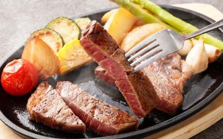 【おおいた豊美牛】ヒレ ステーキ 130g×3枚 390g とよみ牛 希少部位