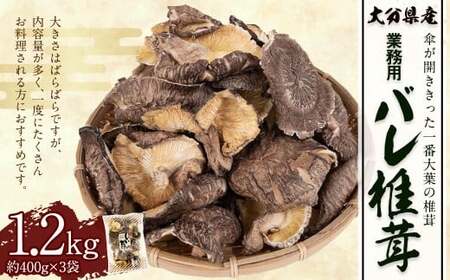 大分県産 原木栽培 乾しいたけ 業務用 バレ椎茸 お徳用 約1200g（約400g×3袋） FBR40 11,680円