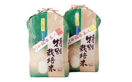 令和7年産 竹田銘水美人色選米 10kg 【白丹産:特別栽培米ヒノヒカリ】5kg×2袋