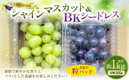 【数量限定】 粒パック 訳あり シャインマスカット （約500g） ＆ BKシードレス （約500g） 計約1kg （各1パック） 【2026年8月下旬～11月上旬発送開始予定】