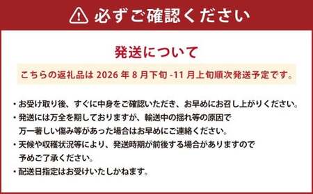 【数量限定】 粒パック 訳あり シャインマスカット （約500g） ＆ BKシードレス （約500g） 計約1kg （各1パック） 【2026年8月下旬～11月上旬発送開始予定】