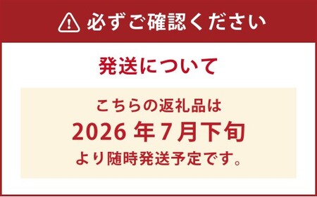 久住高原童心回帰農場の自然栽培 フローズン ブルーベリー 約1kg 冷凍【2026年7月下旬より発送開始】