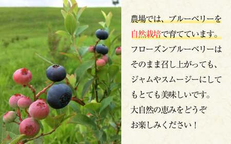 久住高原童心回帰農場の自然栽培 フローズン ブルーベリー 約1kg 冷凍【2026年7月下旬より発送開始】