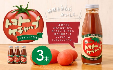 トマトケチャップ 3本セット 385g×3本 完熟トマト 大分県 竹田市