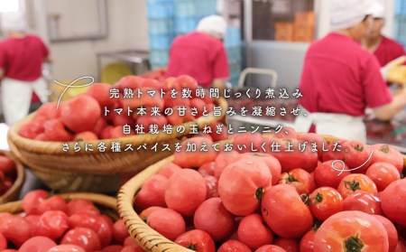 トマトケチャップ 3本セット 385g×3本 完熟トマト 大分県 竹田市