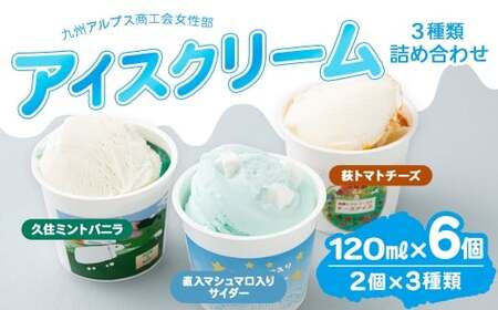 九州アルプス商工会女性部アイスクリーム 計6個入(各種2個入) 久住ミントバニラ 直入マシュマロ入りサイダー 荻トマトチーズ