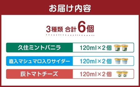 九州アルプス商工会女性部アイスクリーム 計6個入(各種2個入) 久住ミントバニラ 直入マシュマロ入りサイダー 荻トマトチーズ