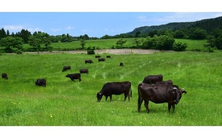 大分県産 おおいた和牛 生ハム 250g（50g×5）