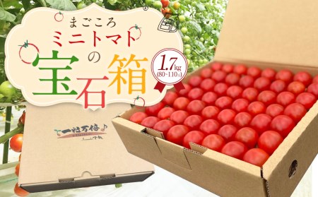 まごころ ミニトマト の 宝石箱 1.7kg (約80～110玉) サンチェリーピュア トマト