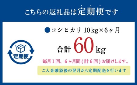 【6ヶ月定期便】大分県産 コシヒカリ 10kg×6回 計60kg 精米 お米 こしひかり