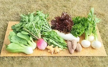 栽培期間中農薬不使用・有機肥料で育てた 季節の野菜セット 約4～8kg