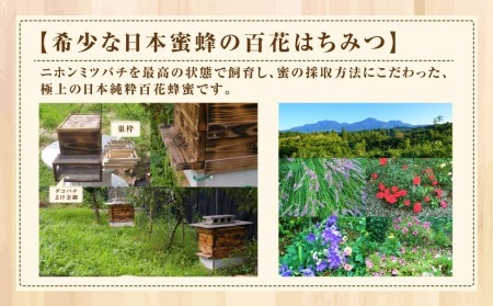 【国産はちみつ】 日本純粋百花蜂蜜 「森の蜜」 180g×1本 化粧箱入り