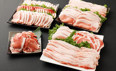 【3回定期便】大分県産ブランド豚「米の恵み」季節の定期便セット 計4.8kg（1～2月・5～6月・9～10月）定期便 豚肉