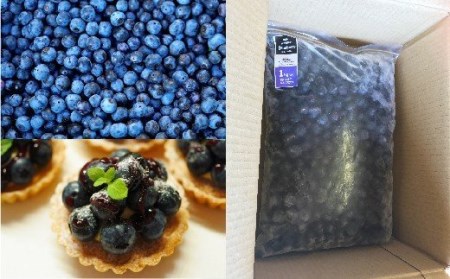 大分県久住高原産 『手摘みブルーベリー』 冷凍ブルーベリー 1kg