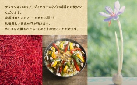 国産サフラン 0 5g 栽培用球根 10個 セット 秋頃開花 国産 大分県竹田市 ふるさと納税サイト ふるなび