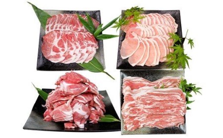 大分県産 ブランド豚 「米の恵み」お楽しみセット 計3.1kg 豚肉 小分け