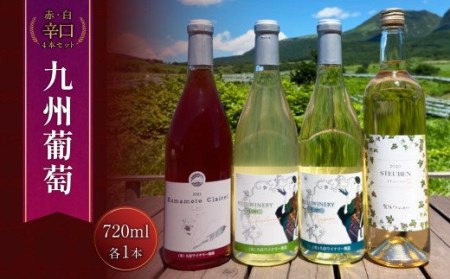 久住ワイナリーの九州葡萄 ワイン 赤 白 辛口（720ml×4本セット）計2880ml 赤ワイン 白ワイン