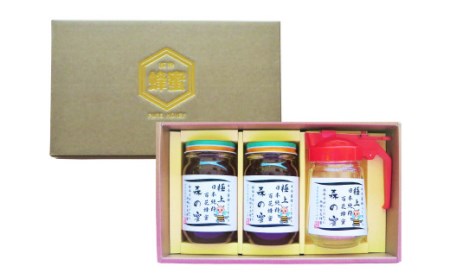 【国産はちみつ】 日本純粋百花蜂蜜 「森の蜜」 300g×2本 計600g ・パッカー容器 化粧箱入り