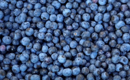 【お試しサイズ】久住高原 冷凍 ブルーベリー 500g 栽培期間中農薬不使用 手摘み 果物 フルーツ