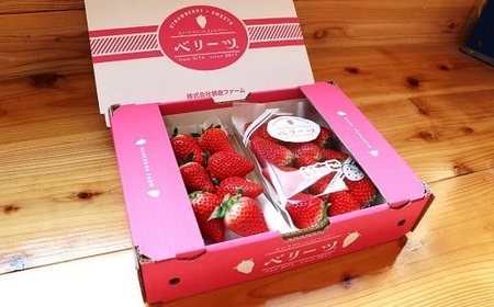【先行予約】大分県ブランドいちご「ベリーツ」大粒(280g×2パック) | 豊後高田市 いちご