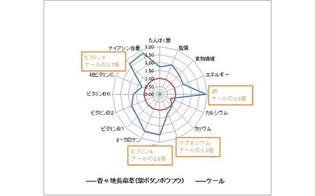 香々地長命草パウダー(30包入) | 豊後高田市 健康食品