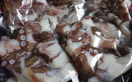 蛸 船上活締め 生 真ダコ ぶつ切り (200g×5P) | 豊後高田市 蛸