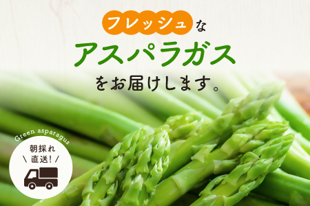 グリーンアスパラガス（800g）【5月中旬~6月配送】 アスパラ