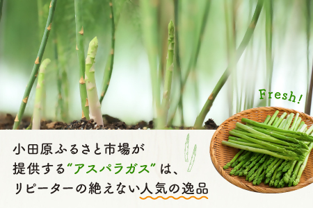 グリーンアスパラガス（800g）【5月中旬~6月配送】 アスパラ