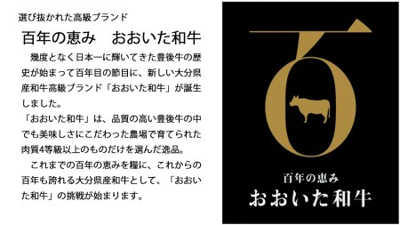 F4-01 片桐さんの「おおいた和牛」おまかせ焼肉セット（計800g）