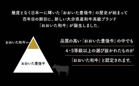 C3-30  おおいた和牛サーロイン生ハム 50g 国産黒毛和牛 A4・A5等級 牛肉 生ハム スライス