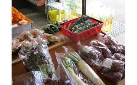 原木栽培しいたけパウダー3袋 豊後高田市 | しいたけ