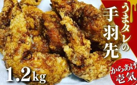 うまタレ付 手羽先 600g×2P 計1.2kg | 豊後高田市 手羽先