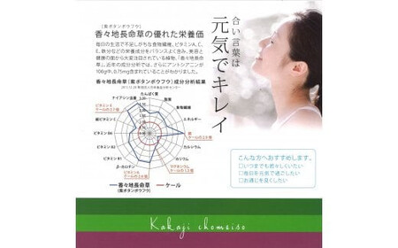 長命草のチカラ 24本×1箱 機能性表示食品 | 青汁