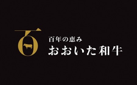 C-71A 「おおいた和牛」モモステーキ２枚×2セット