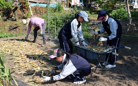 1泊2日農泊体験コース