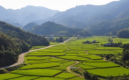 1泊2日農泊体験コース