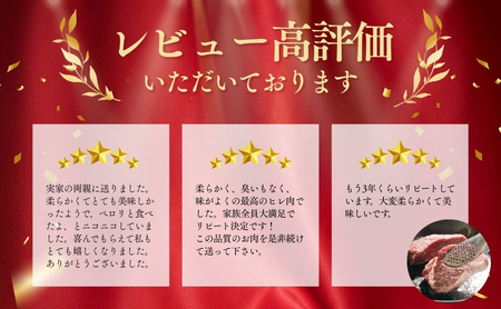 おおいた和牛ヒレステーキ300g 冷蔵 | ヒレ ステーキ