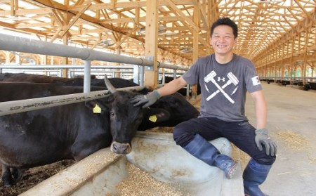 (スピード発送) おおいた和牛ヒレ・サイコロステーキ(600g)|豊後高田市 ヒレ