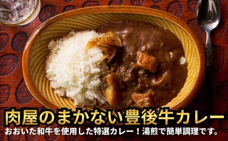 肉屋のまかない豊後牛レトルトカレー 230g×5袋 | 豊後高田市 レトルトカレー