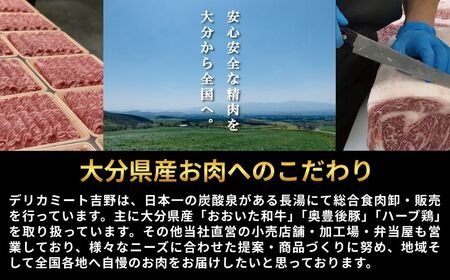 肉屋のまかない豊後牛レトルトカレー 230g×5袋 | 豊後高田市 レトルトカレー