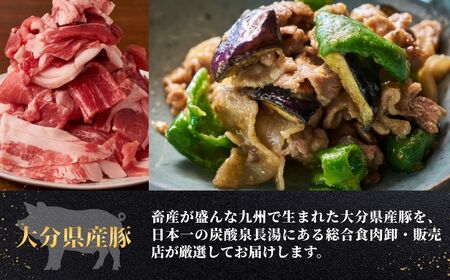 豚肉切り落とし 2kg | 豚肉 小分け 使いやすい 大容量 国産 冷凍
