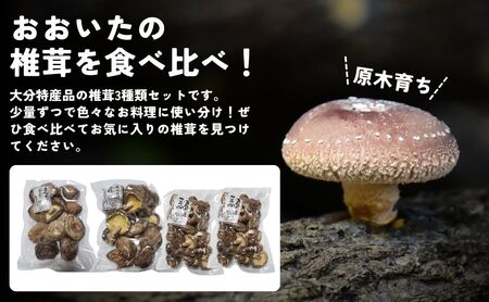 干し椎茸セット(どんこ・香信各100g×1/こつぶ80g×2) |豊後高田市 椎茸