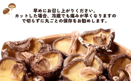 干しシイタケ(どんこ100g×2、こつぶ80g×2、スライス60g×2) | 豊後高田市 しいたけ