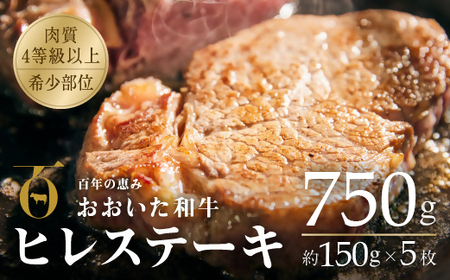 おおいた和牛 ヒレステーキ 750g 冷蔵 | ヒレ ステーキ